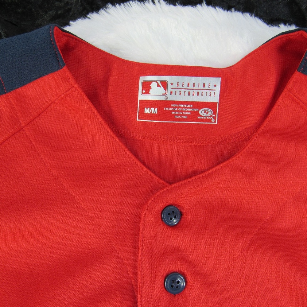 True Fan Baseball Jersey - Picture 2 of 5
